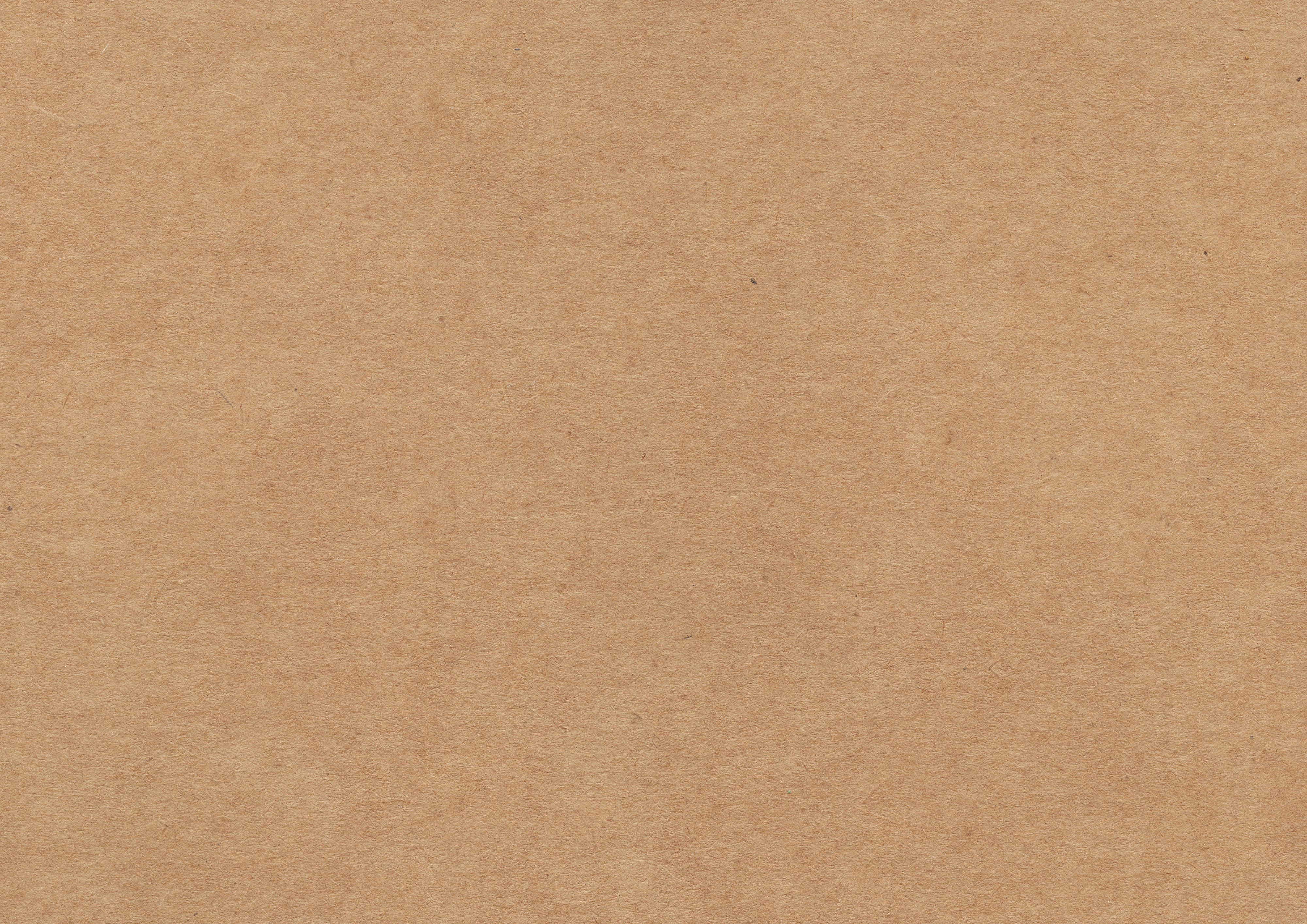 8 Kraft And Recycled Paper Textures Vol1
